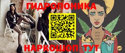 крисы Ставрополь