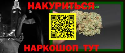 крисы Ставрополь