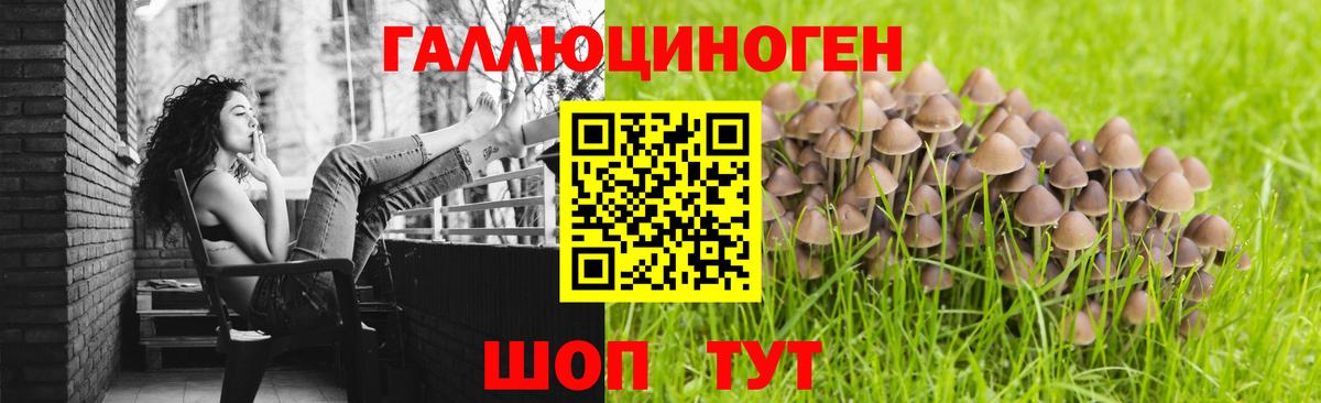 Галлюциногенные грибы мухоморы  Вход с VPN  купить   Менделеевск 